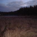 Nocturn (CHL) : En los Campos de Batalla